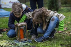 Waldfriedhof Würzburg im Oktober 2014